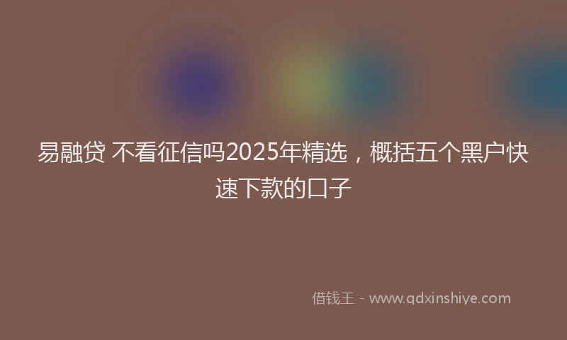 易融贷 不看征信吗2025年精选，概括五个黑户快速下款的口子