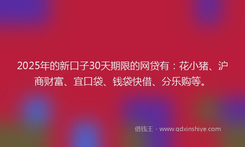 2025年的新口子30天期限的网贷有：花小猪、沪商财富、宜口袋、钱袋快借、分乐购等。