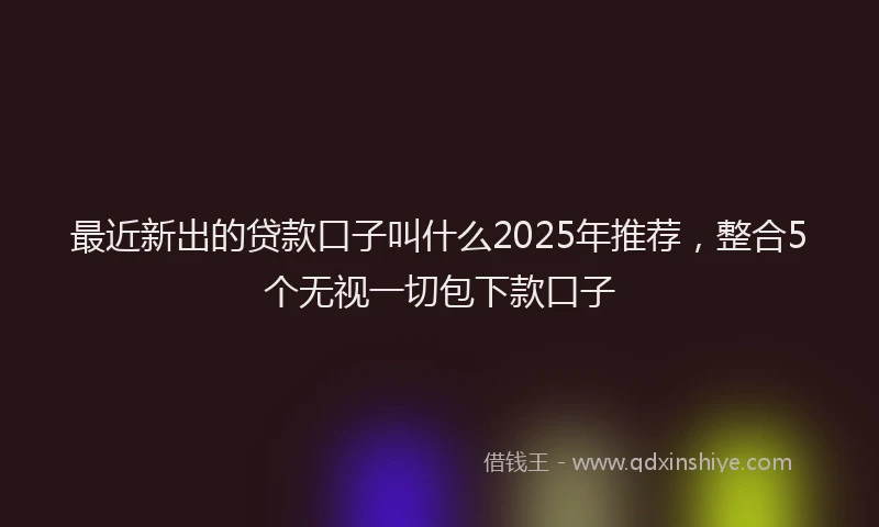 最近新出的贷款口子叫什么2025年推荐，整合5个无视一切包下款口子