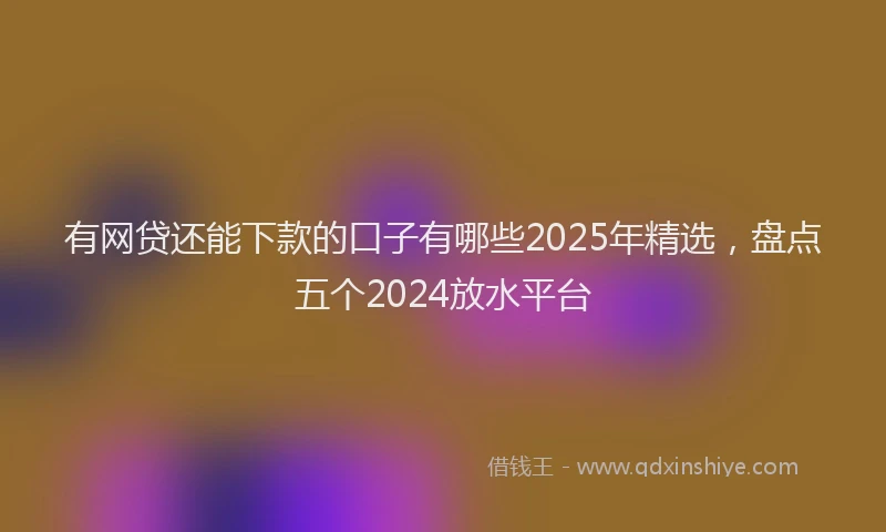 有网贷还能下款的口子有哪些2025年精选，盘点五个2024放水平台