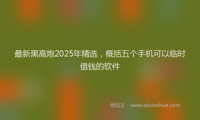 最新黑高炮2025年精选，概括五个手机可以临时借钱的软件