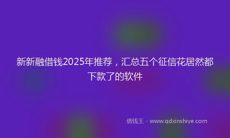 新新融借钱2025年推荐，汇总五个征信花居然都下款了的软件