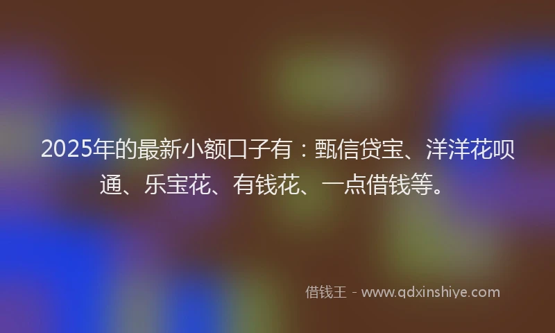 2025年的最新小额口子有：甄信贷宝、洋洋花呗通、乐宝花、有钱花、一点借钱等。