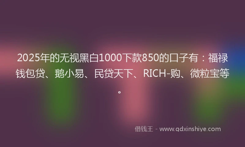 2025年的无视黑白1000下款850的口子有：福禄钱包贷、鹅小易、民贷天下、RICH-购、微粒宝等。