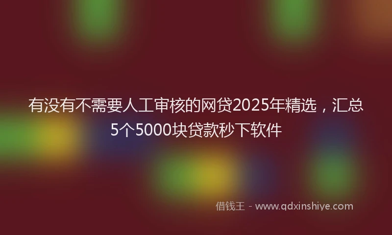 有没有不需要人工审核的网贷2025年精选，汇总5个5000块贷款秒下软件
