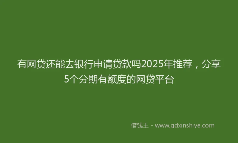 有网贷还能去银行申请贷款吗2025年推荐，分享5个分期有额度的网贷平台