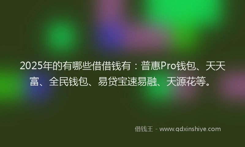 2025年的有哪些借借钱有：普惠Pro钱包、天天富、全民钱包、易贷宝速易融、天源花等。