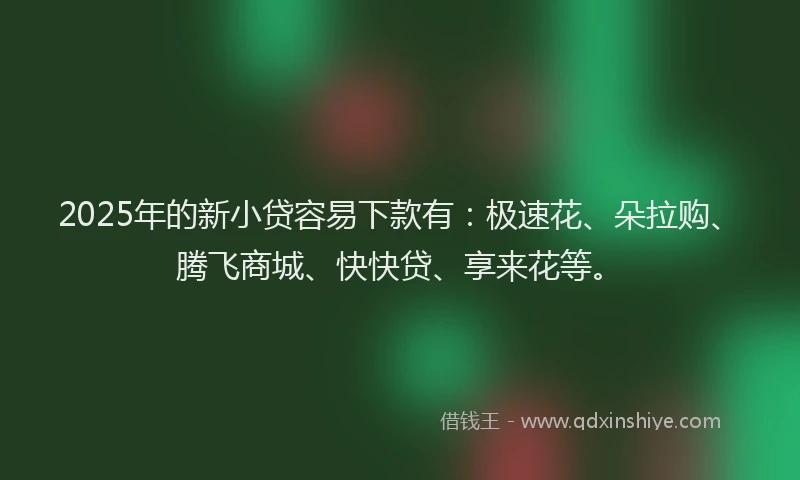 2025年的新小贷容易下款有：极速花、朵拉购、腾飞商城、快快贷、享来花等。