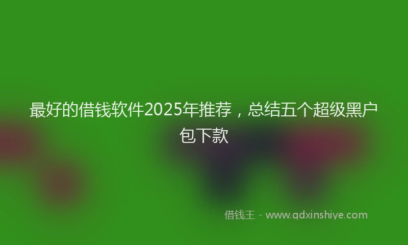 最好的借钱软件2025年推荐，总结五个超级黑户包下款