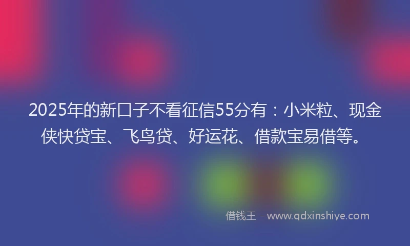 2025年的新口子不看征信55分有：小米粒、现金侠快贷宝、飞鸟贷、好运花、借款宝易借等。