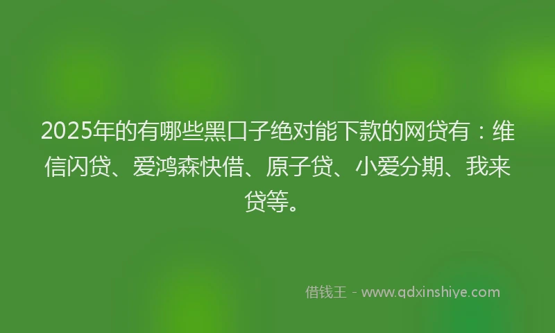2025年的有哪些黑口子绝对能下款的网贷有：维信闪贷、爱鸿森快借、原子贷、小爱分期、我来贷等。