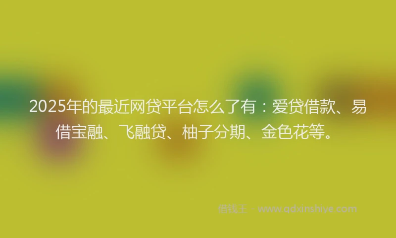 2025年的最近网贷平台怎么了有：爱贷借款、易借宝融、飞融贷、柚子分期、金色花等。