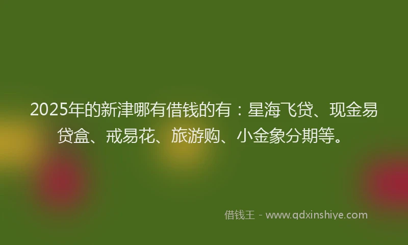 2025年的新津哪有借钱的有：星海飞贷、现金易贷盒、戒易花、旅游购、小金象分期等。