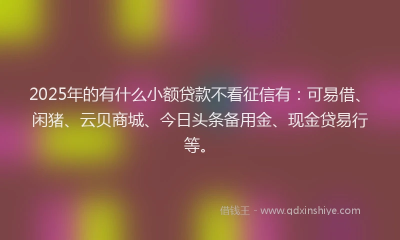 2025年的有什么小额贷款不看征信有：可易借、闲猪、云贝商城、今日头条备用金、现金贷易行等。
