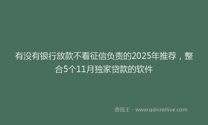 有没有银行放款不看征信负责的2025年推荐，整合5个11月独家贷款的软件