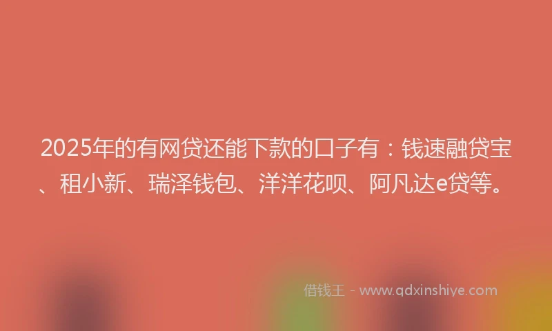 2025年的有网贷还能下款的口子有：钱速融贷宝、租小新、瑞泽钱包、洋洋花呗、阿凡达e贷等。