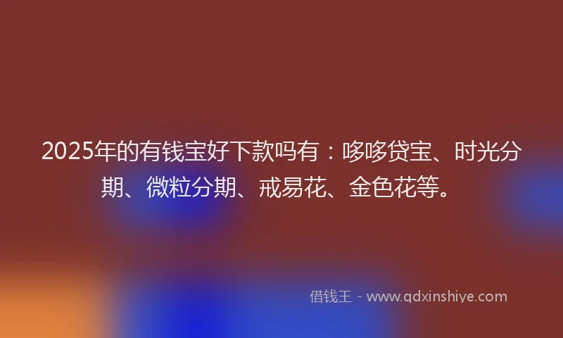 2025年的有钱宝好下款吗有：哆哆贷宝、时光分期、微粒分期、戒易花、金色花等。