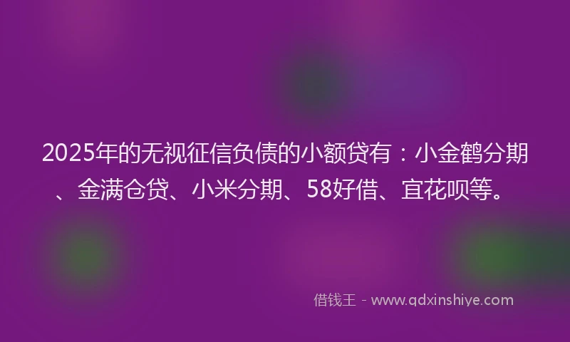 2025年的无视征信负债的小额贷有：小金鹤分期、金满仓贷、小米分期、58好借、宜花呗等。