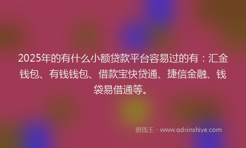 2025年的有什么小额贷款平台容易过的有：汇金钱包、有钱钱包、借款宝快贷通、捷信金融、钱袋易借通等。