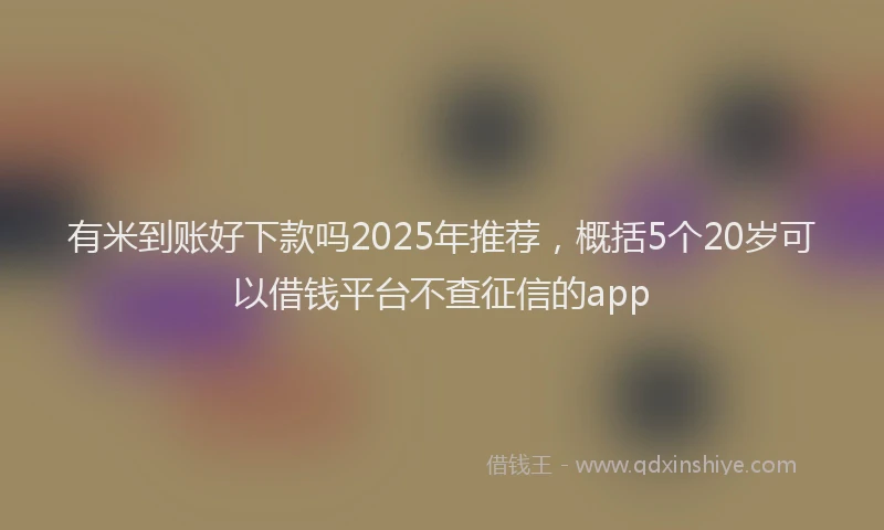 有米到账好下款吗2025年推荐，概括5个20岁可以借钱平台不查征信的app