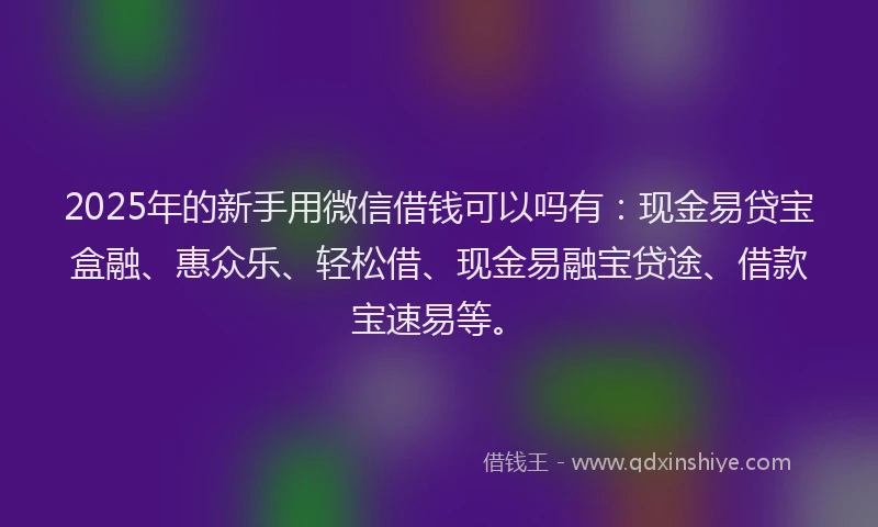 2025年的新手用微信借钱可以吗有：现金易贷宝盒融、惠众乐、轻松借、现金易融宝贷途、借款宝速易等。