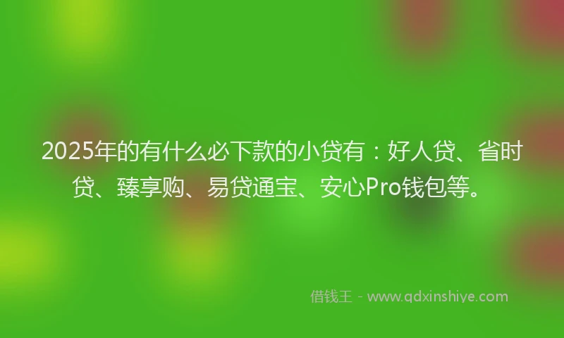 2025年的有什么必下款的小贷有：好人贷、省时贷、臻享购、易贷通宝、安心Pro钱包等。