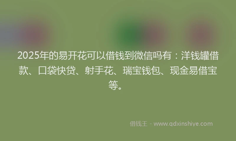 2025年的易开花可以借钱到微信吗有：洋钱罐借款、口袋快贷、射手花、瑞宝钱包、现金易借宝等。