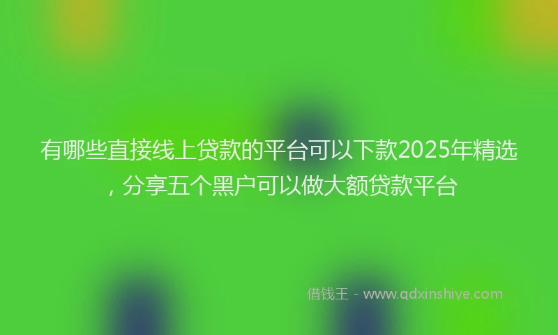 有哪些直接线上贷款的平台可以下款2025年精选，分享五个黑户可以做大额贷款平台