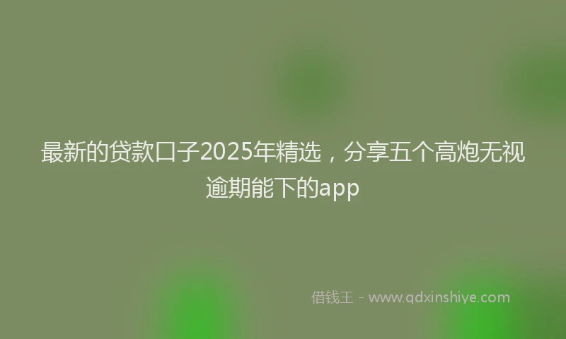 最新的贷款口子2025年精选，分享五个高炮无视逾期能下的app