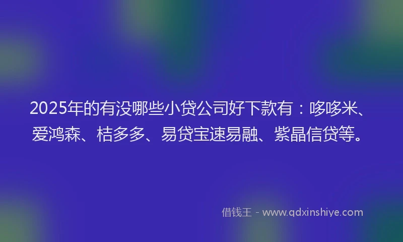 2025年的有没哪些小贷公司好下款有：哆哆米、爱鸿森、桔多多、易贷宝速易融、紫晶信贷等。