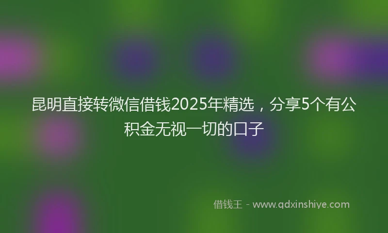 昆明直接转微信借钱2025年精选，分享5个有公积金无视一切的口子