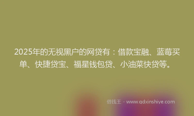 2025年的无视黑户的网贷有：借款宝融、蓝莓买单、快捷贷宝、福星钱包贷、小油菜快贷等。