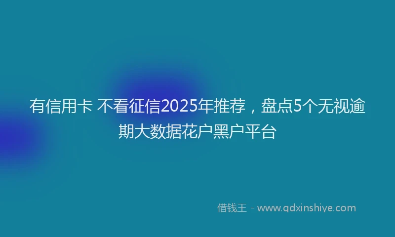 有信用卡 不看征信2025年推荐，盘点5个无视逾期大数据花户黑户平台