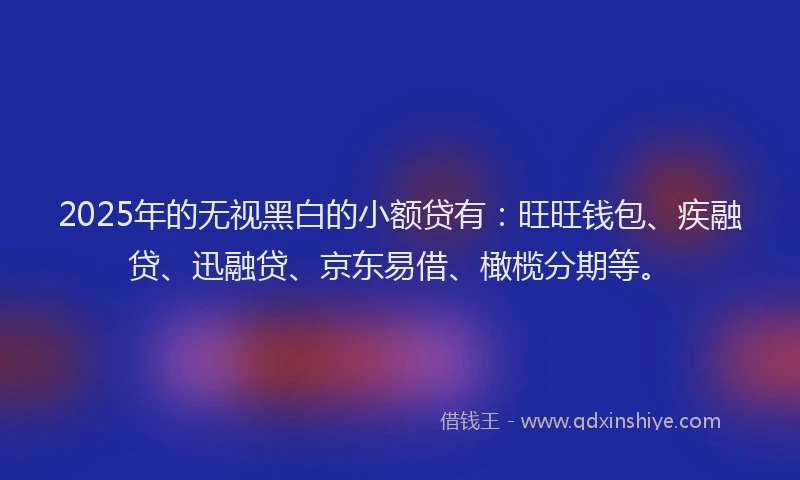 2025年的无视黑白的小额贷有：旺旺钱包、疾融贷、迅融贷、京东易借、橄榄分期等。