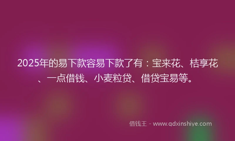 2025年的易下款容易下款了有：宝来花、桔享花、一点借钱、小麦粒贷、借贷宝易等。