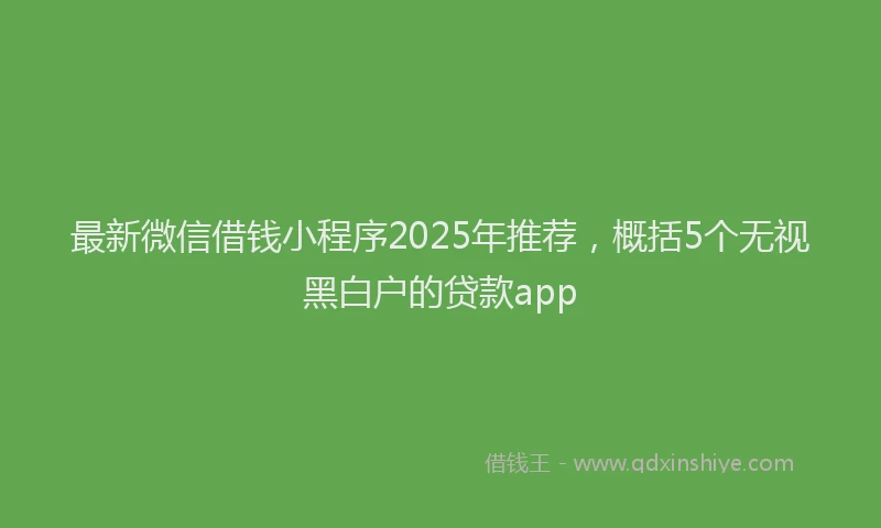 最新微信借钱小程序2025年推荐，概括5个无视黑白户的贷款app
