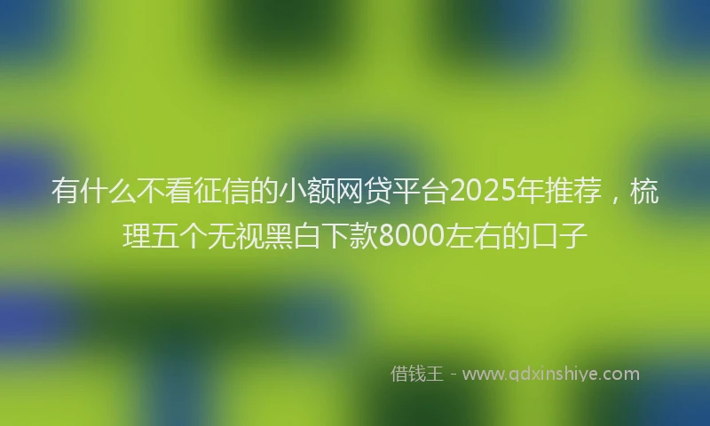 有什么不看征信的小额网贷平台2025年推荐，梳理五个无视黑白下款8000左右的口子