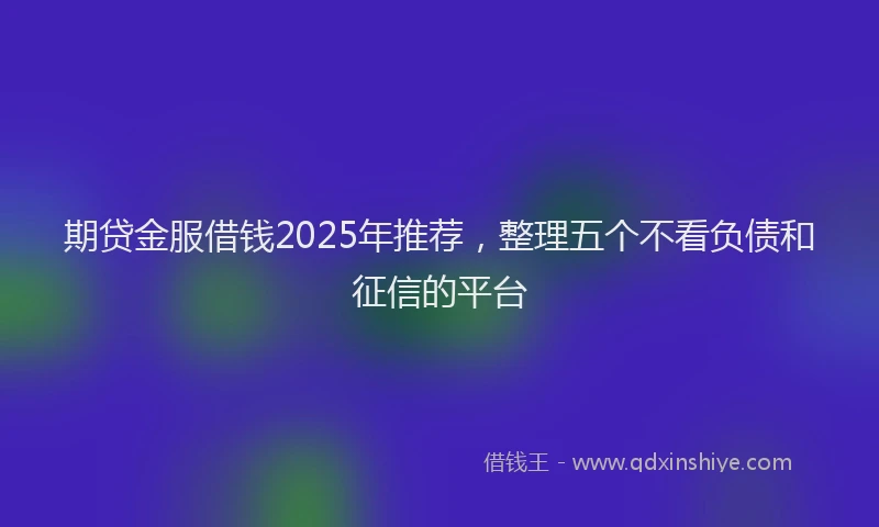 期贷金服借钱2025年推荐，整理五个不看负债和征信的平台