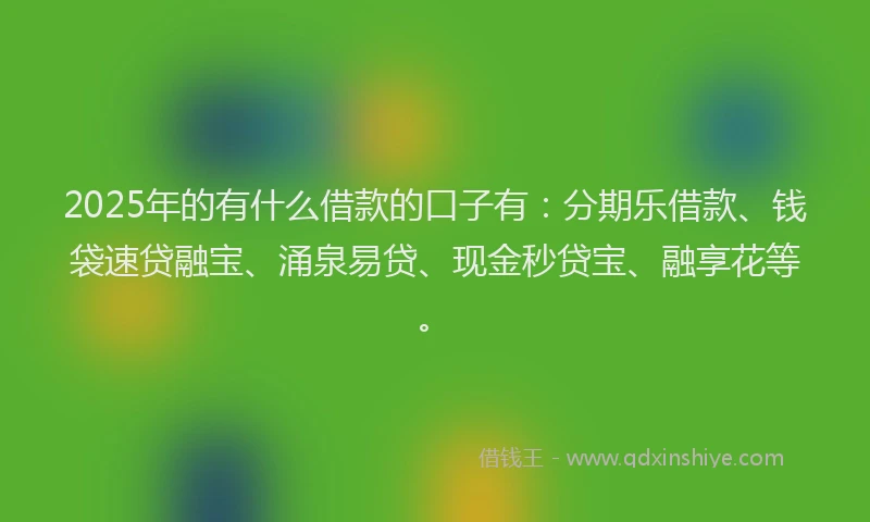 2025年的有什么借款的口子有：分期乐借款、钱袋速贷融宝、涌泉易贷、现金秒贷宝、融享花等。