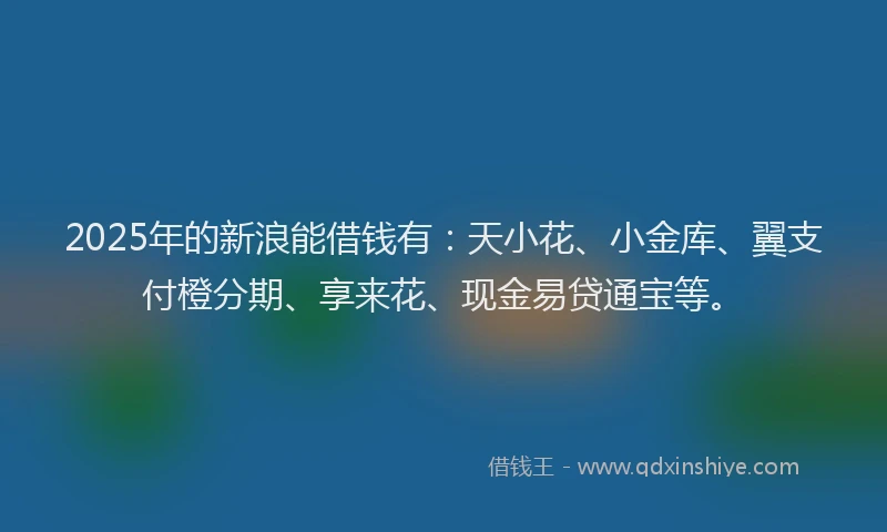 2025年的新浪能借钱有：天小花、小金库、翼支付橙分期、享来花、现金易贷通宝等。