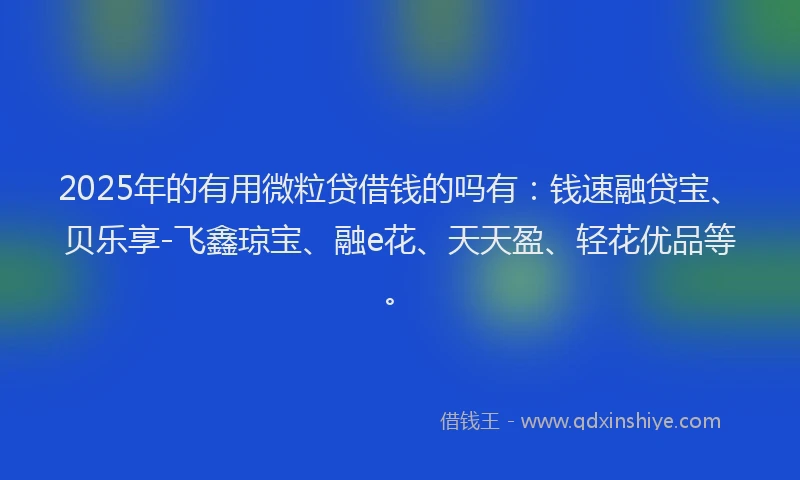 2025年的有用微粒贷借钱的吗有：钱速融贷宝、贝乐享-飞鑫琼宝、融e花、天天盈、轻花优品等。