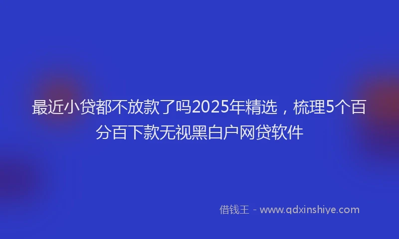 最近小贷都不放款了吗2025年精选，梳理5个百分百下款无视黑白户网贷软件