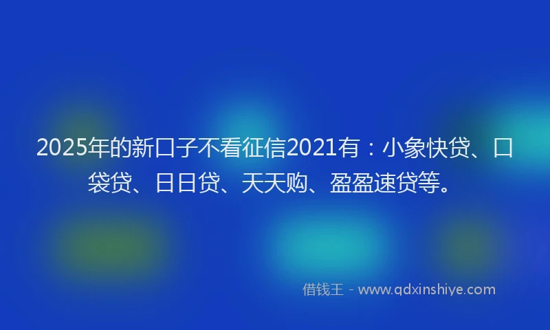 2025年的新口子不看征信2021有：小象快贷、口袋贷、日日贷、天天购、盈盈速贷等。