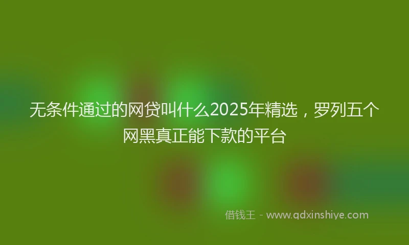 无条件通过的网贷叫什么2025年精选，罗列五个网黑真正能下款的平台