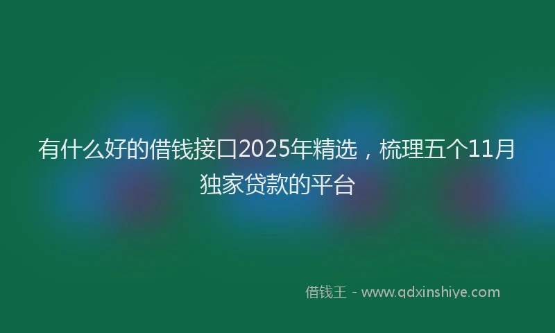 有什么好的借钱接口2025年精选，梳理五个11月独家贷款的平台