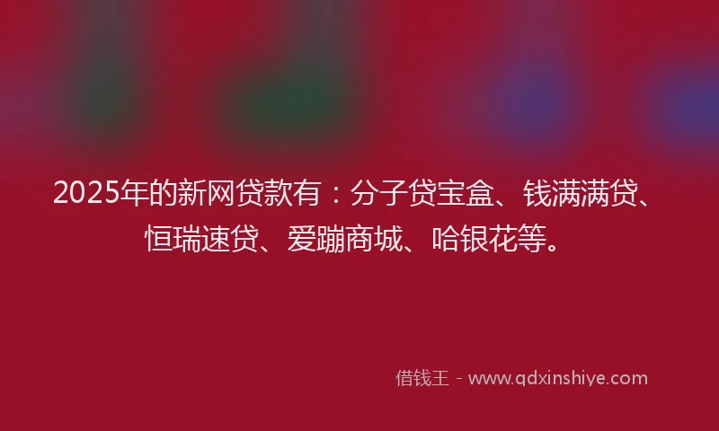 2025年的新网贷款有：分子贷宝盒、钱满满贷、恒瑞速贷、爱蹦商城、哈银花等。