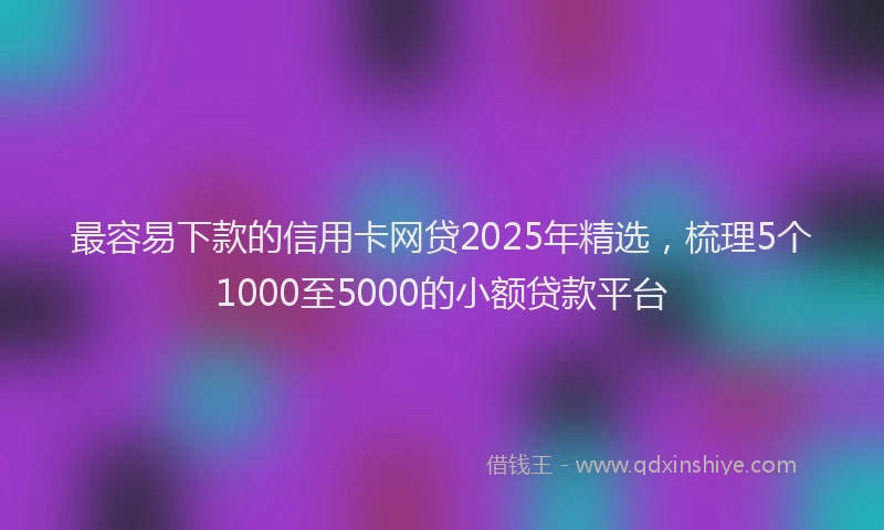 最容易下款的信用卡网贷2025年精选，梳理5个1000至5000的小额贷款平台