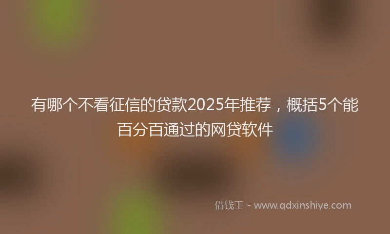 有哪个不看征信的贷款2025年推荐，概括5个能百分百通过的网贷软件