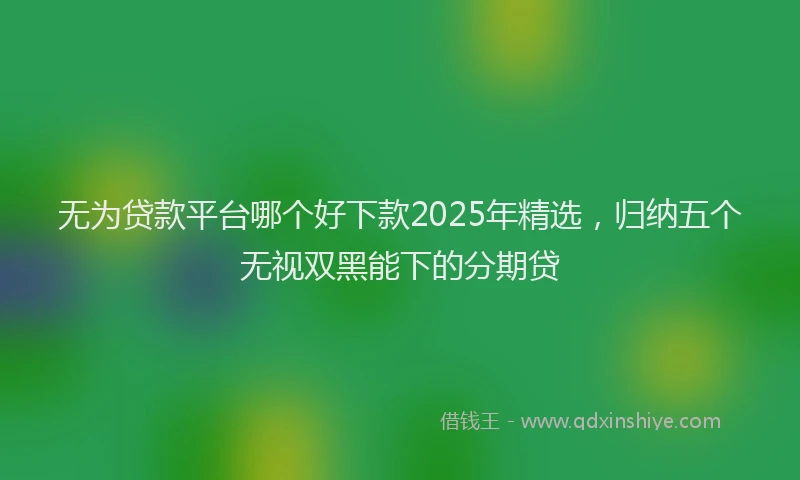 无为贷款平台哪个好下款2025年精选，归纳五个无视双黑能下的分期贷