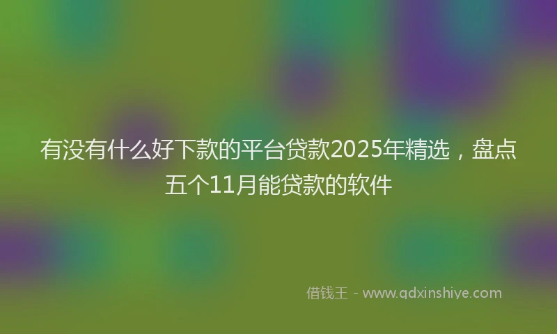 有没有什么好下款的平台贷款2025年精选，盘点五个11月能贷款的软件